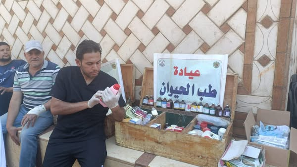 طب بيطري سوهاج” تواصل إطلاق قوافلها الطبية البيطرية وتعالج ٨٩٠ حيوانًا الحواويش البحرية