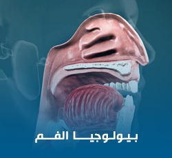 WhatsApp Image 2025-10-12 at 1.23.22 PM