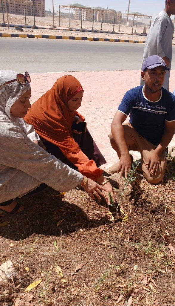 بأيادي العاملين.. زراعة 200 شتلة مثمرة لتعزيز المساحات الخضراء بمدن سوهاج الجامعية